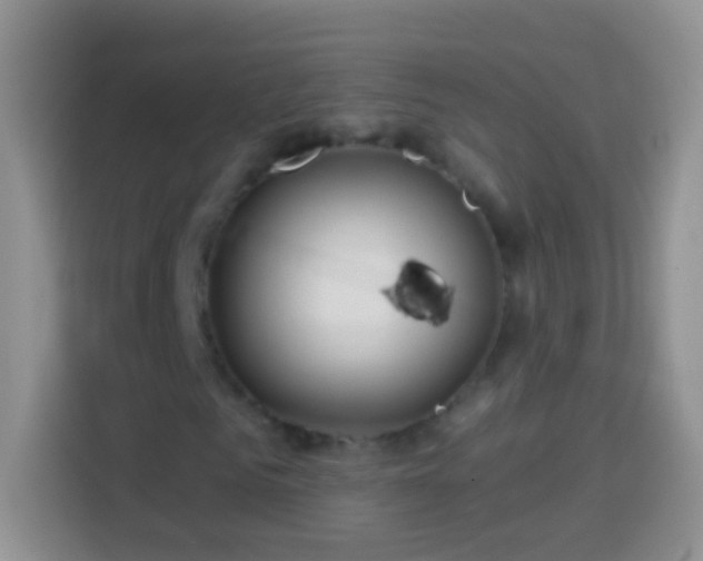 X0000113880961200910011129