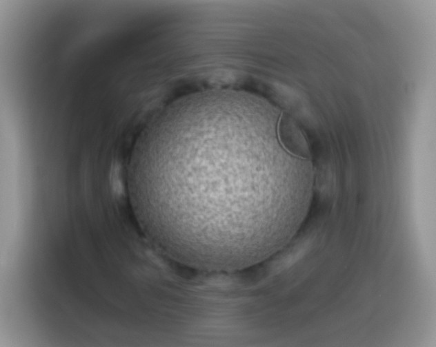 X0000113880962200910011129