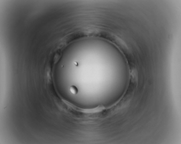 X0000113880963200910011129