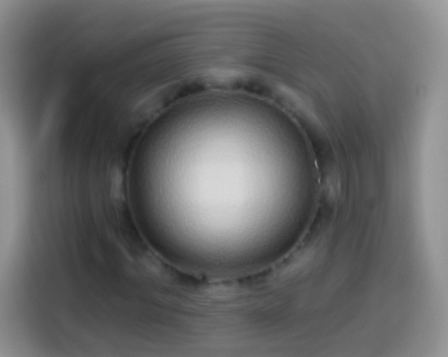 X0000113880964200910011129