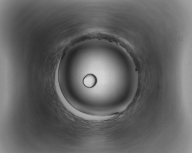 X0000113880965200910011129