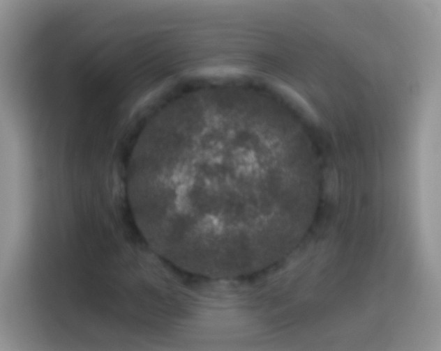 X0000113880966200910011129