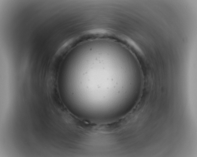 X0000113880967200910011129