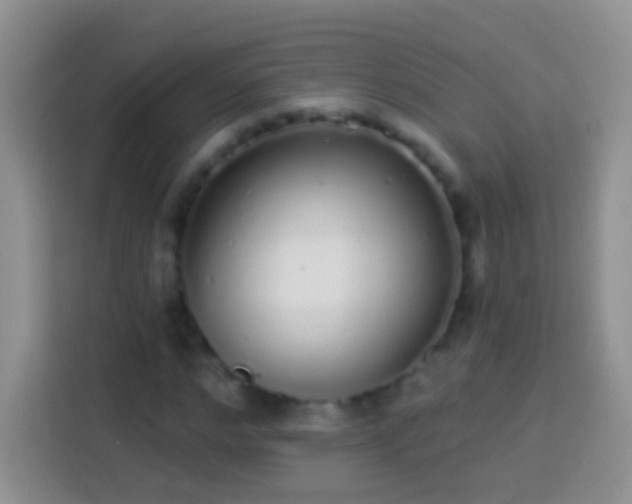 X0000113880968200910011129