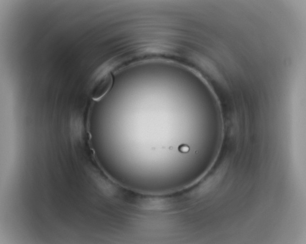 X0000113880969200910011129