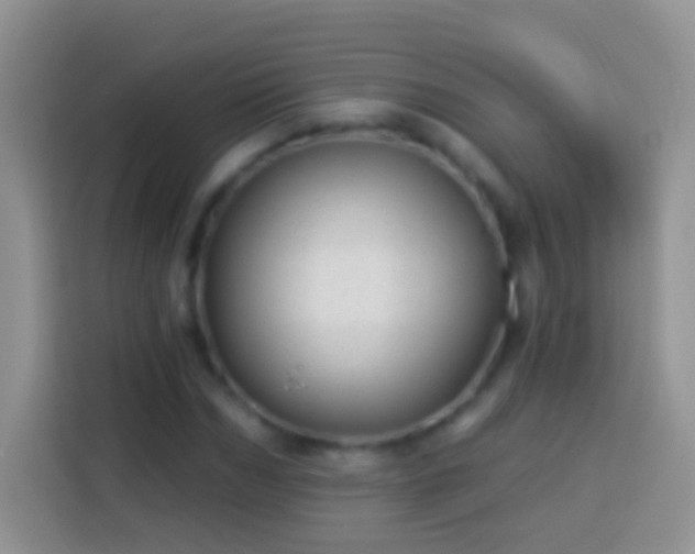 X0000113880970200910011129