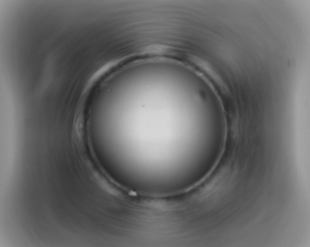 X0000113880971200910011129