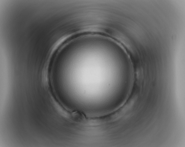 X0000113880972200910011129