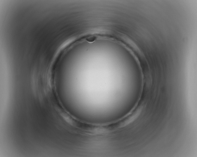 X0000113880974200910011129