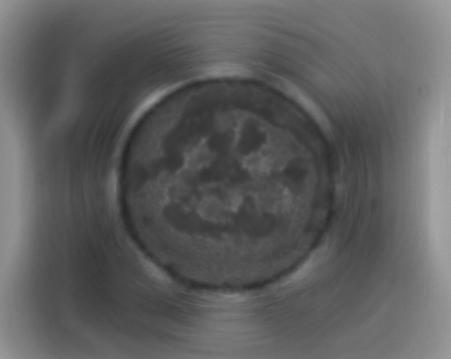 X0000113880975200910011129