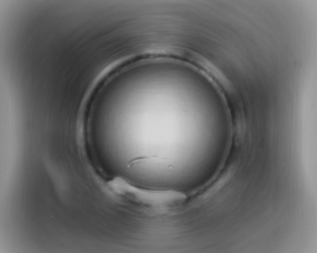 X0000113880976200910011129