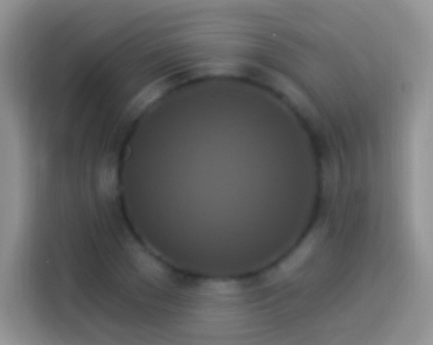 X0000113880977200910011129