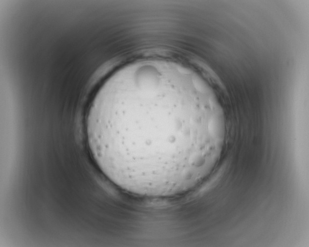 X0000113880978200910011129