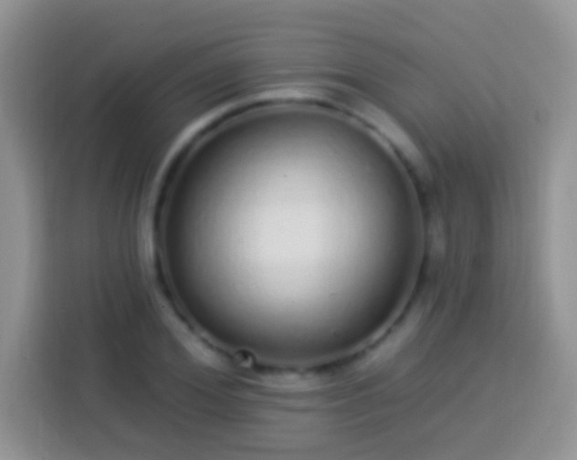 X0000113880980200910011129