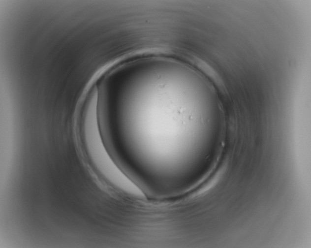 X0000113880981200910011129