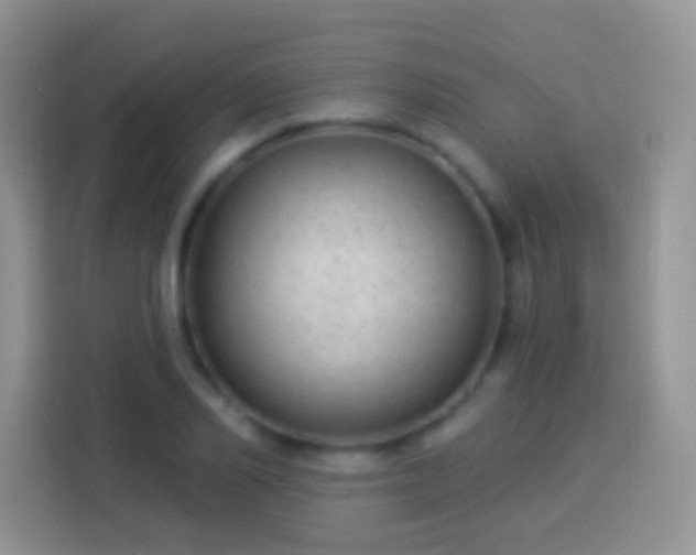 X0000113880982200910011129