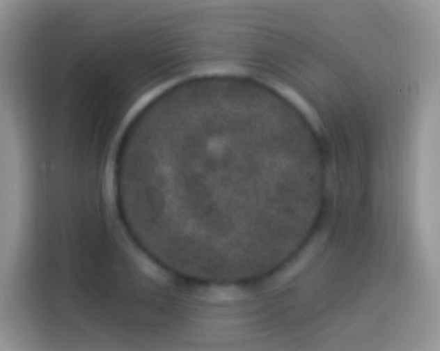 X0000113880983200910011129