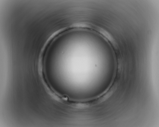 X0000113880984200910011129