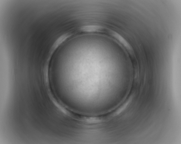 X0000113880986200910011129