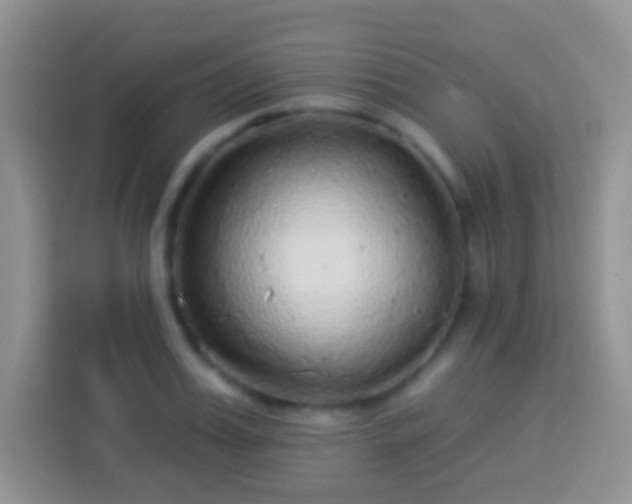 X0000113880987200910011129