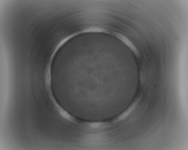 X0000113880988200910011129