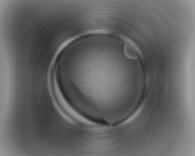 X0000113880989200910011129