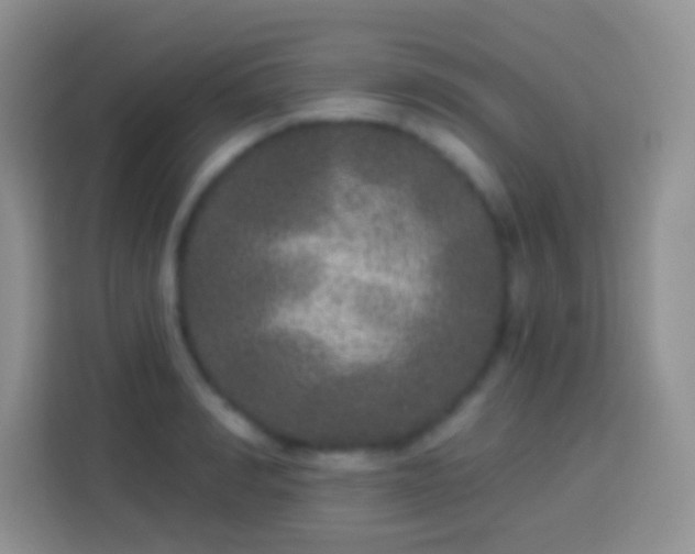 X0000113880990200910011129