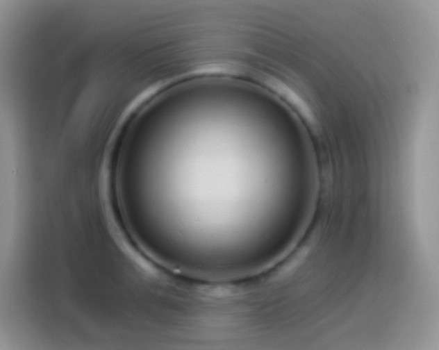 X0000113880991200910011129