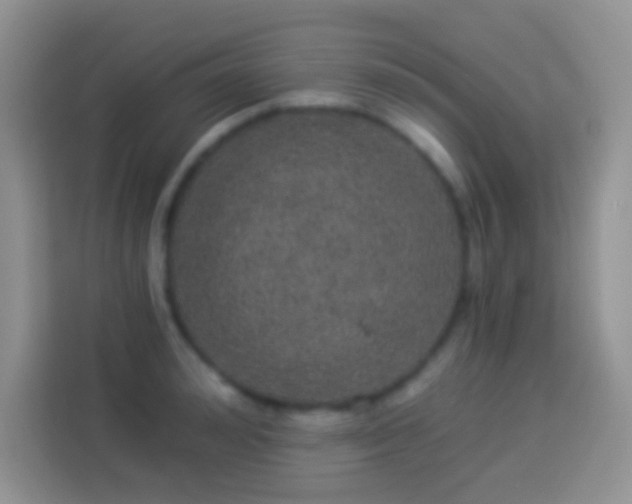 X0000113880992200910011129