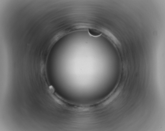 X0000113880993200910011129