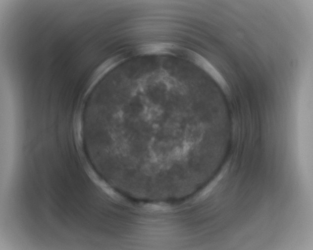 X0000113880994200910011129