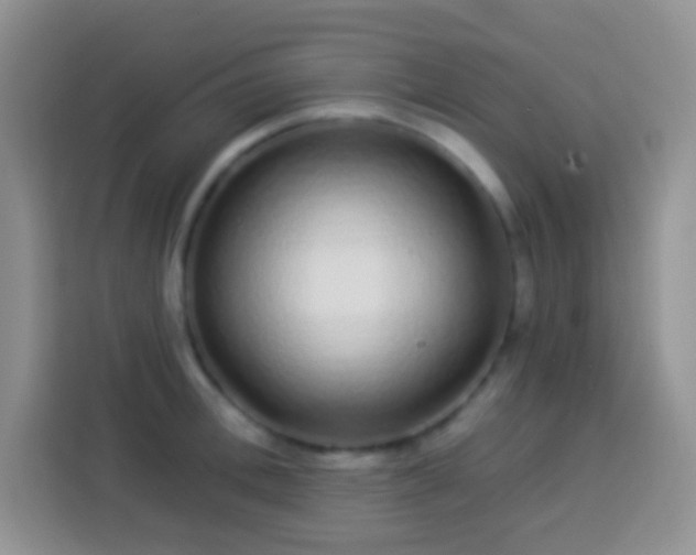 X0000113880996200910011129