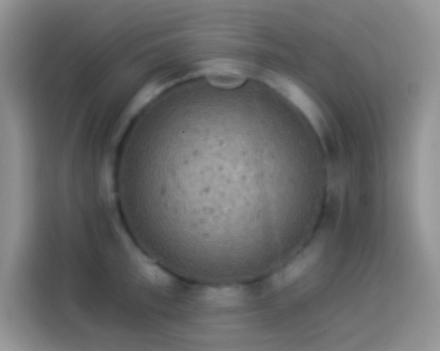 X0000113880997200910011129