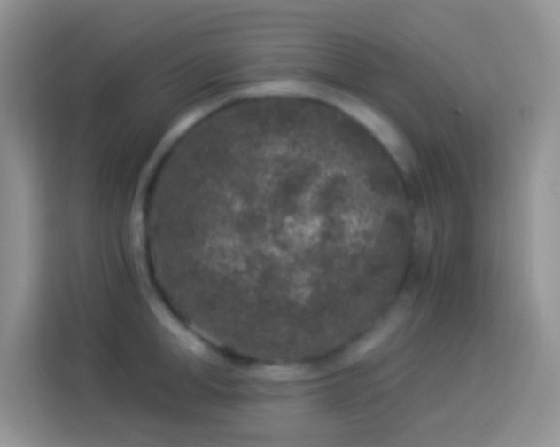 X0000113880998200910011129