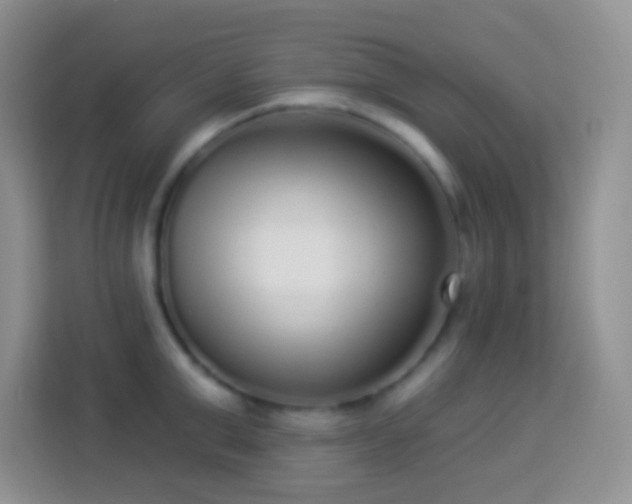 X0000113880999200910011129