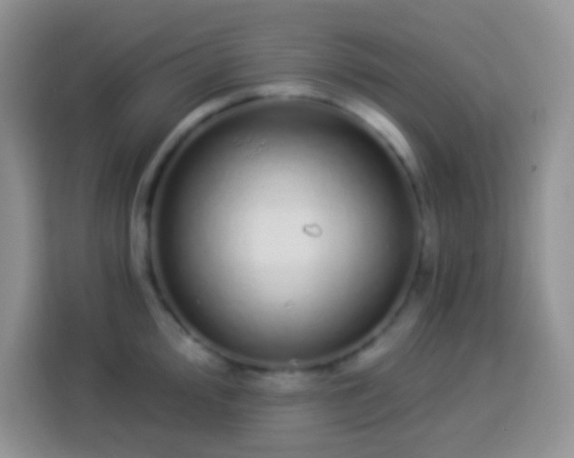 X0000113881000200910011129