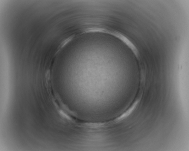 X0000113881001200910011129