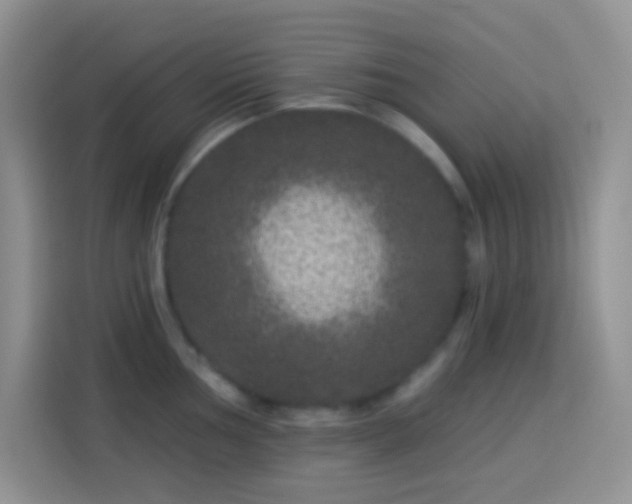 X0000113881002200910011129