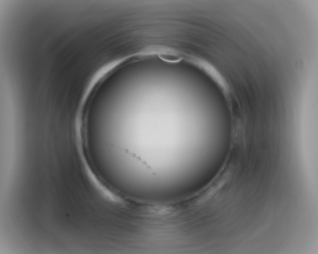 X0000113881003200910011129