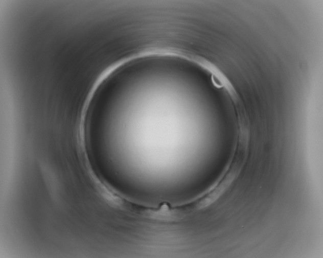 X0000113881004200910011129