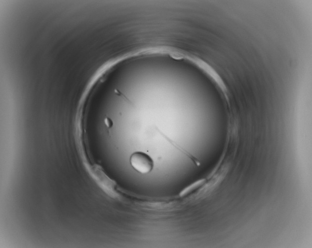 X0000113881005200910011129