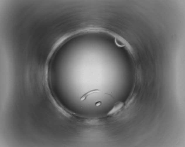 X0000113881006200910011129