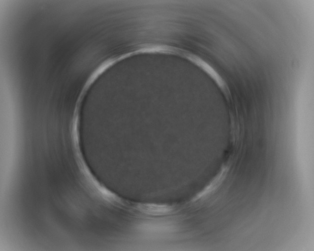 X0000113881007200910011129