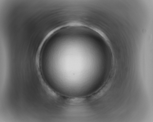 X0000113881008200910011129