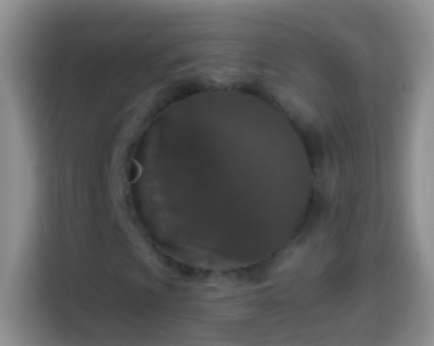 X0000113881009200910011128