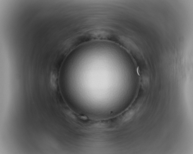 X0000113881010200910011128