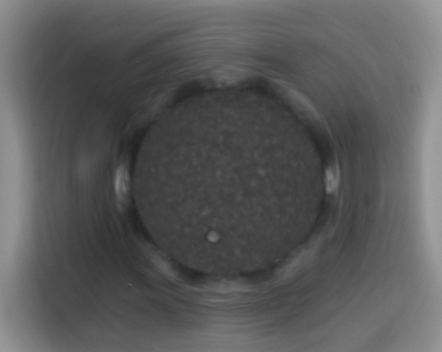 X0000113881011200910011128