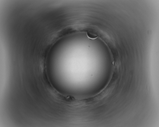 X0000113881012200910011128