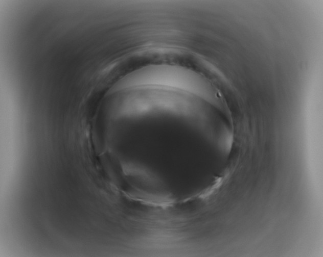 X0000113881013200910011128