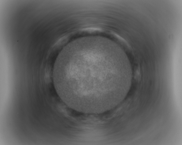 X0000113881014200910011128